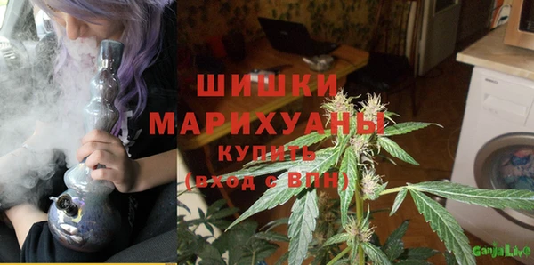 бошки Каменногорск