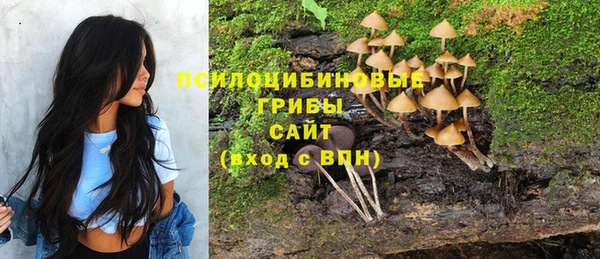 a pvp Каменка