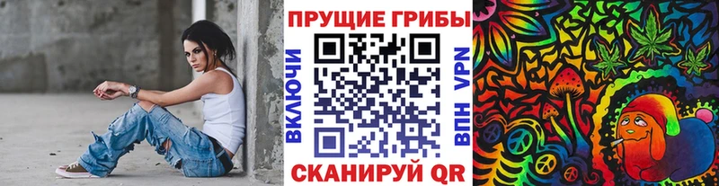 Купить закладки  Дятьково  Псилоцибиновые грибы MAGIC MUSHROOMS 